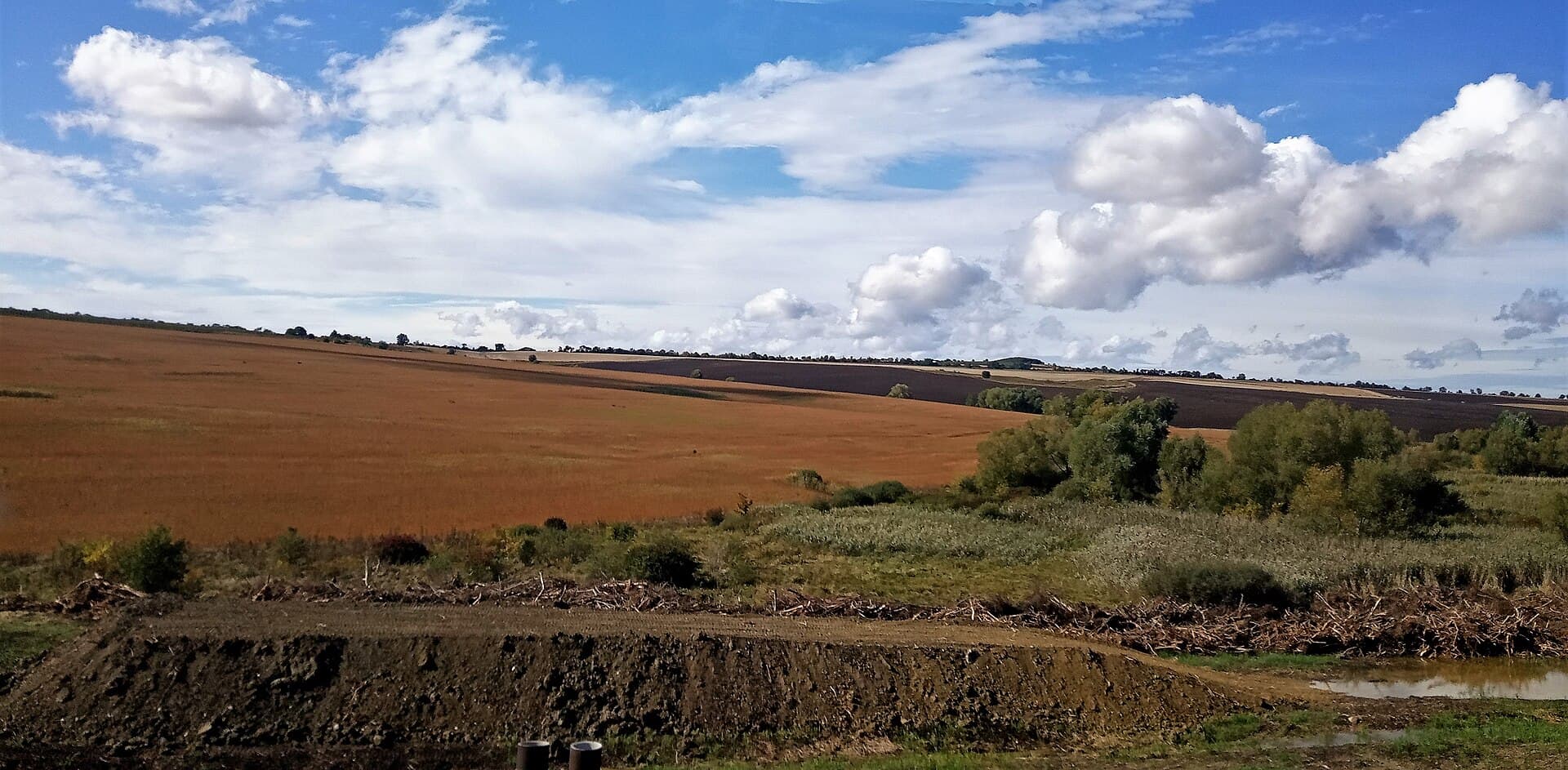 Peisaj din Bucovina